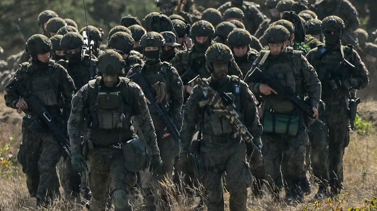 亚当·图兹：唯有组建一支军队才能解决欧洲的防务问题